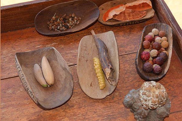 aborigines kultur in australien typisch esssen