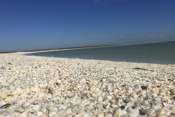 australien work travel fun wetter und jahreszeiten klimaentwiklung