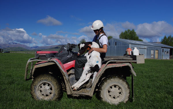 jobsuche in australien auf dem land arbeiten woofing