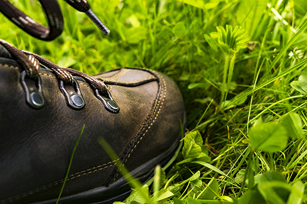 wandern in australien wanderschuh